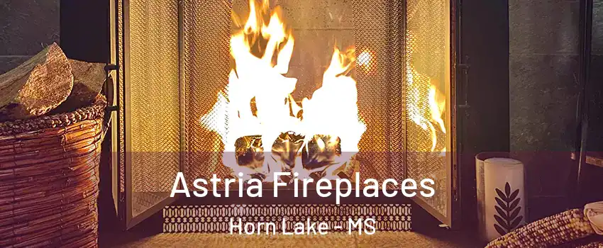  Astria Fireplaces Horn Lake - MS
