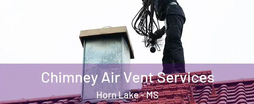  Chimney Air Vent Services Horn Lake - MS