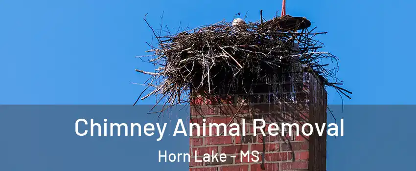 Chimney Animal Removal Horn Lake - MS
