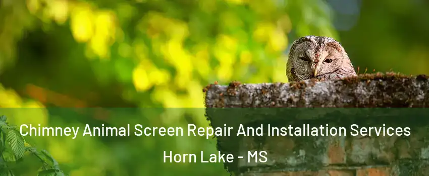  Chimney Animal Screen Repair And Installation Services Horn Lake - MS
