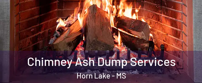  Chimney Ash Dump Services Horn Lake - MS