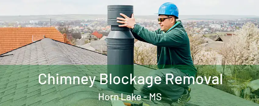  Chimney Blockage Removal Horn Lake - MS