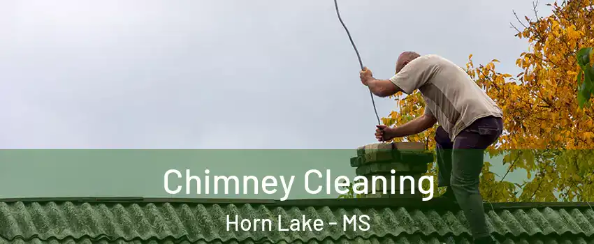  Chimney Cleaning Horn Lake - MS