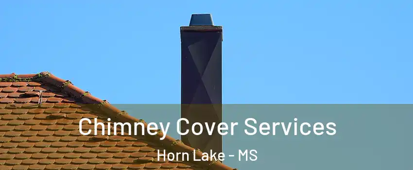  Chimney Cover Services Horn Lake - MS