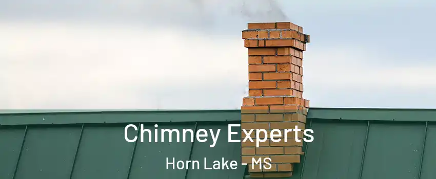 Chimney Experts Horn Lake - MS
