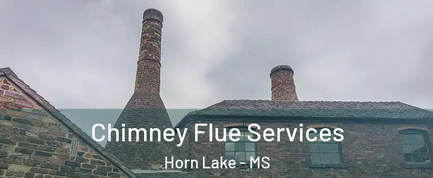  Chimney Flue Services Horn Lake - MS