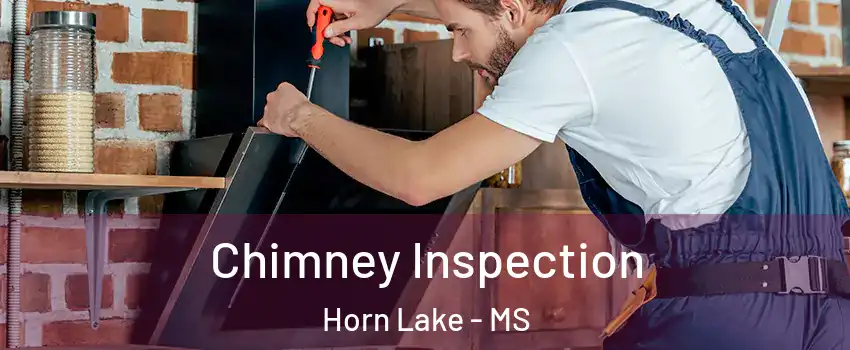  Chimney Inspection Horn Lake - MS
