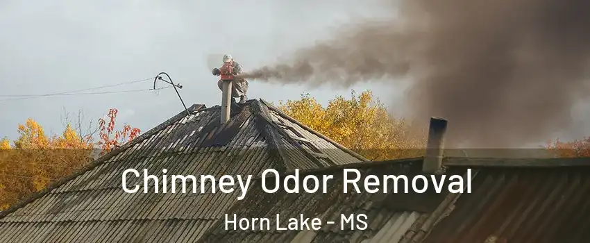  Chimney Odor Removal Horn Lake - MS