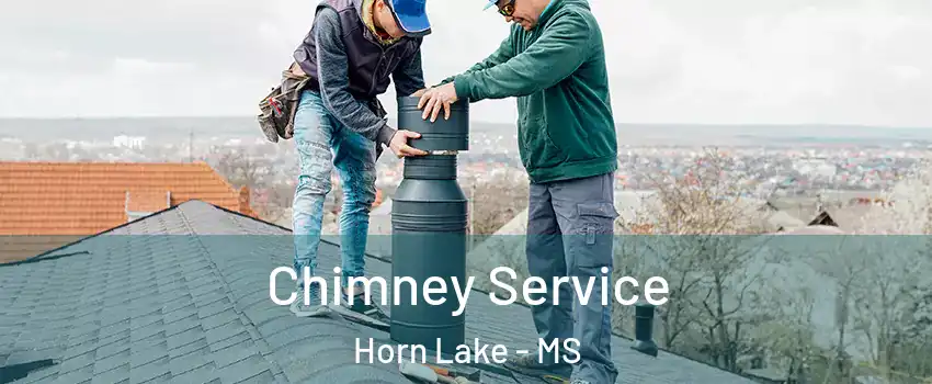  Chimney Service Horn Lake - MS
