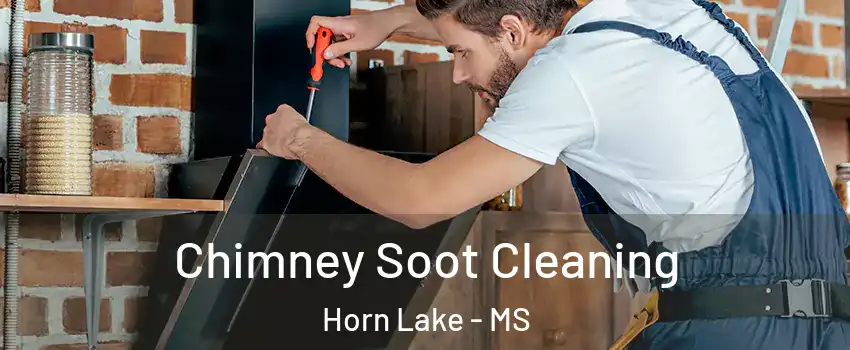  Chimney Soot Cleaning Horn Lake - MS