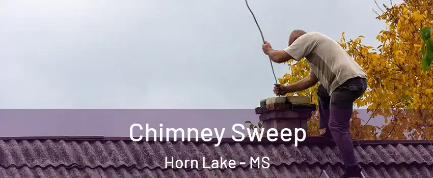  Chimney Sweep Horn Lake - MS
