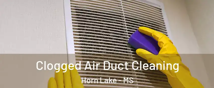  Clogged Air Duct Cleaning Horn Lake - MS