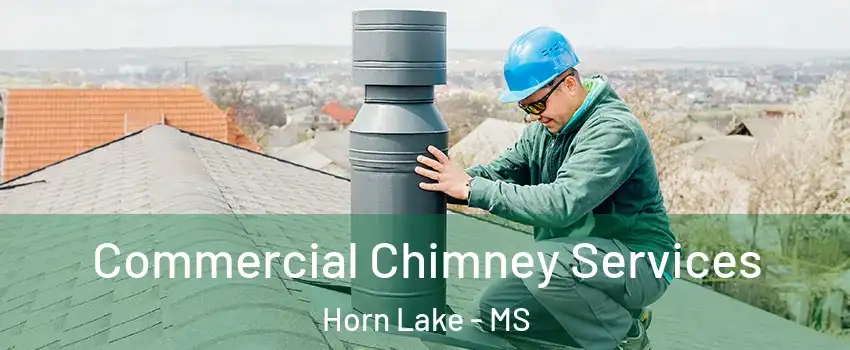  Commercial Chimney Services Horn Lake - MS