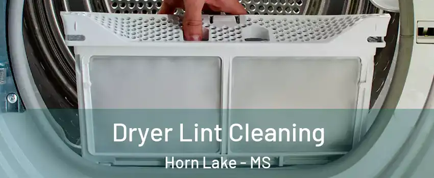  Dryer Lint Cleaning Horn Lake - MS