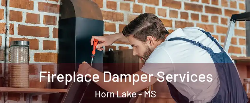  Fireplace Damper Services Horn Lake - MS
