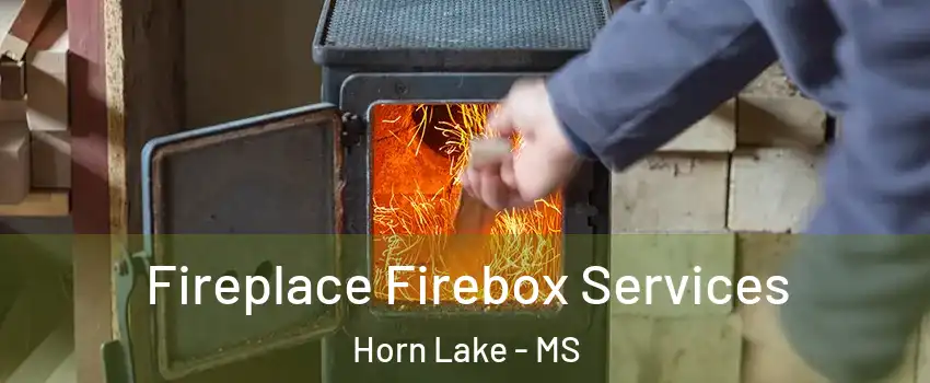  Fireplace Firebox Services Horn Lake - MS