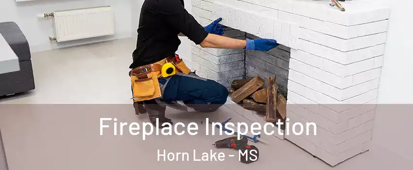  Fireplace Inspection Horn Lake - MS