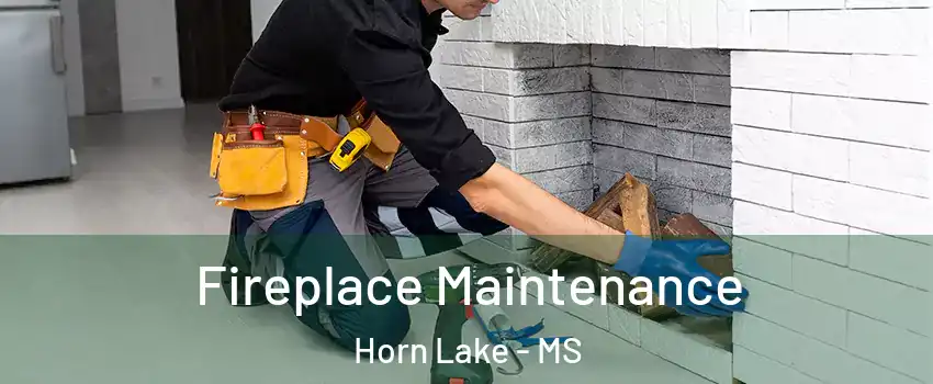  Fireplace Maintenance Horn Lake - MS