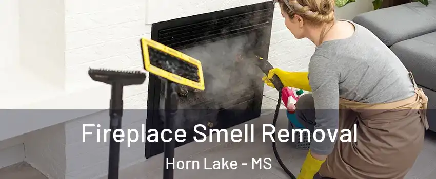  Fireplace Smell Removal Horn Lake - MS
