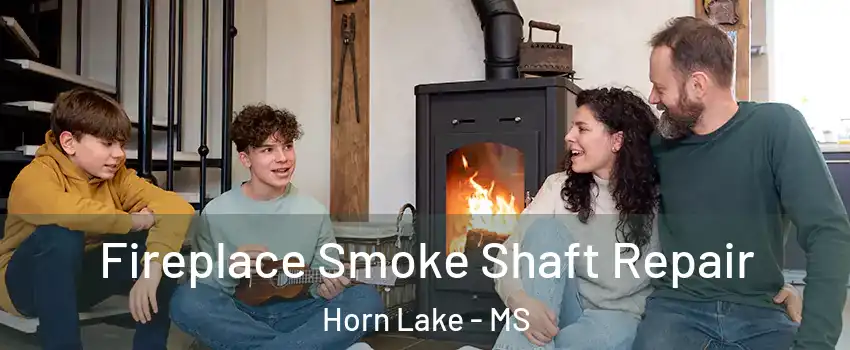  Fireplace Smoke Shaft Repair Horn Lake - MS