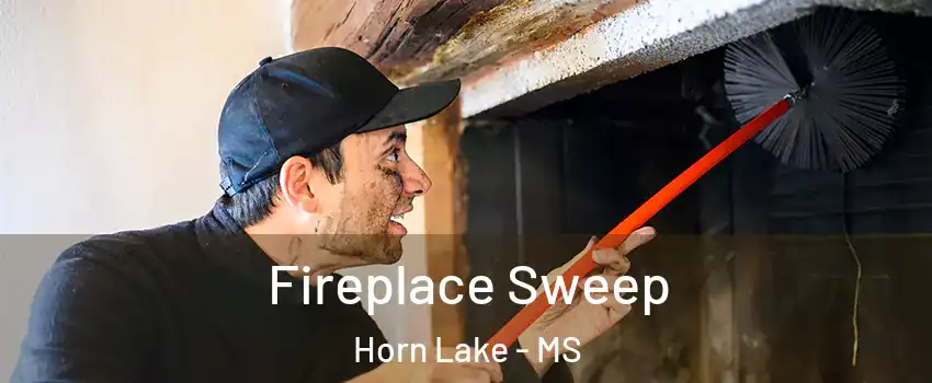  Fireplace Sweep Horn Lake - MS