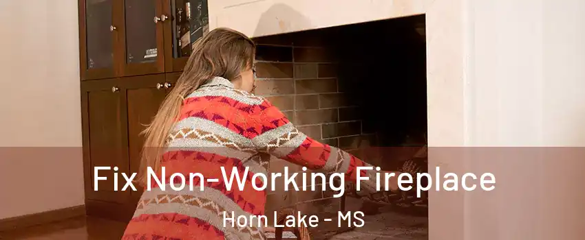  Fix Non-Working Fireplace Horn Lake - MS