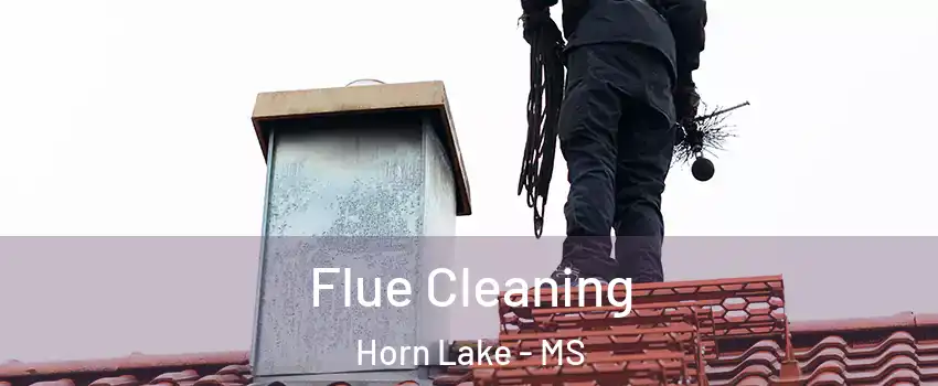  Flue Cleaning Horn Lake - MS