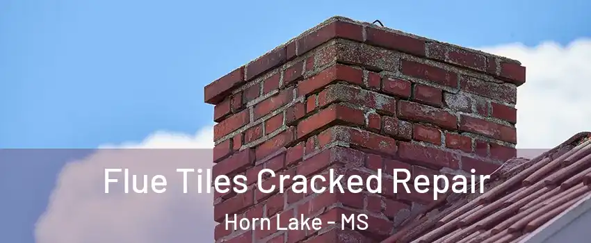  Flue Tiles Cracked Repair Horn Lake - MS