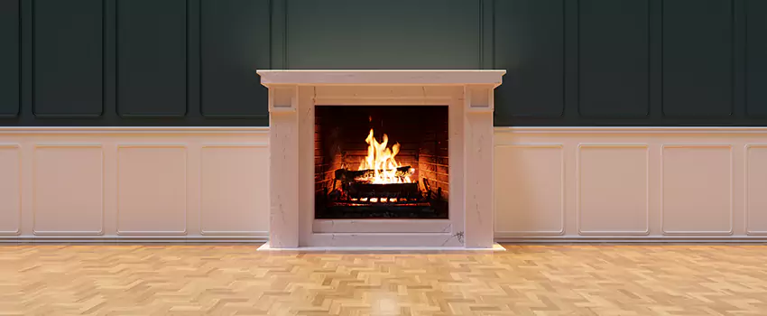 Napoleon Electric Fireplaces Inspection Service in Horn Lake, Mississippi
