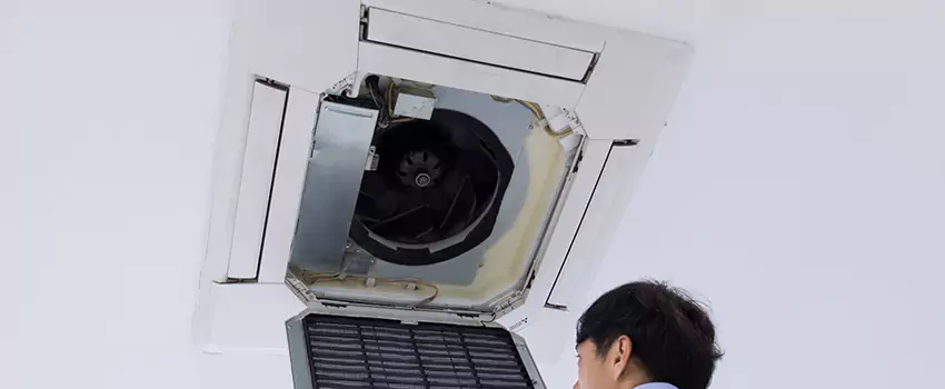 Benefits of Professional Air Duct Cleaning in Horn Lake, Mississippi