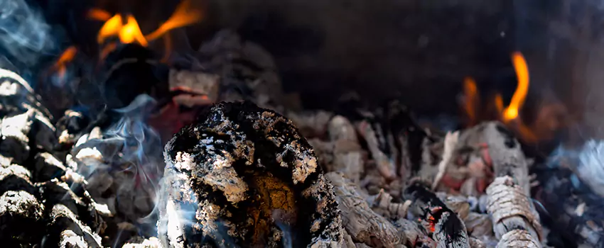 Creosote Removal Experts in Horn Lake, MS