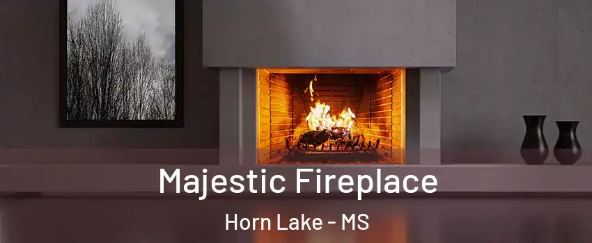  Majestic Fireplace Horn Lake - MS