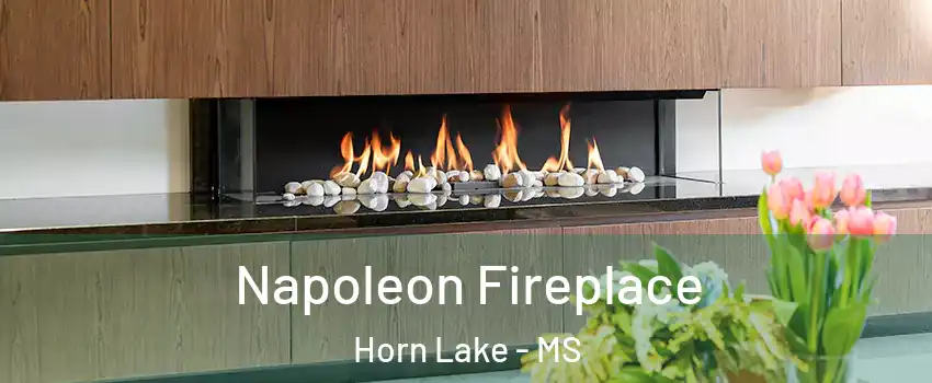  Napoleon Fireplace Horn Lake - MS