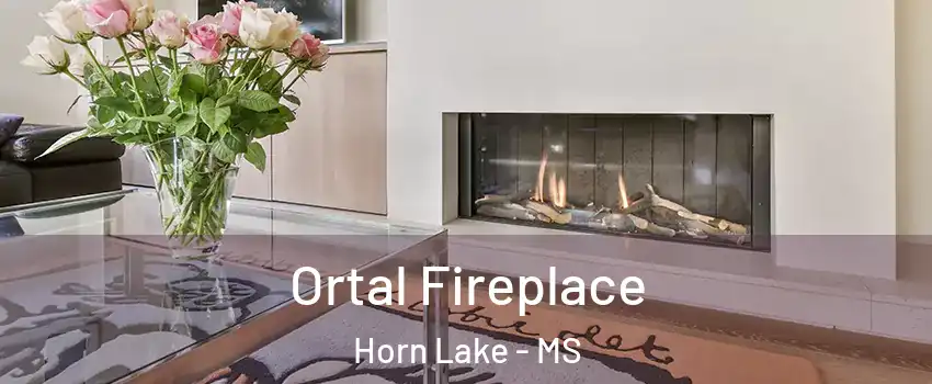 Ortal Fireplace Horn Lake - MS