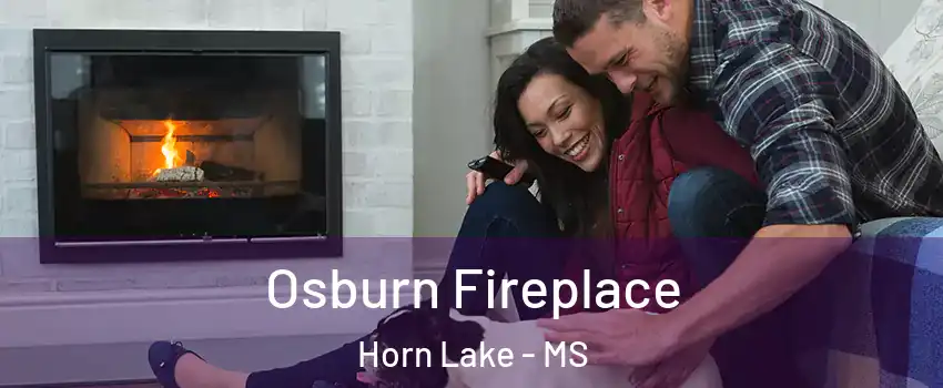  Osburn Fireplace Horn Lake - MS