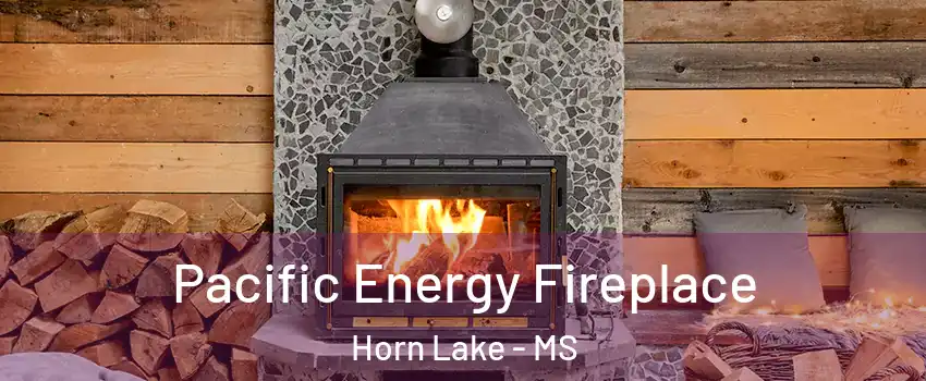  Pacific Energy Fireplace Horn Lake - MS