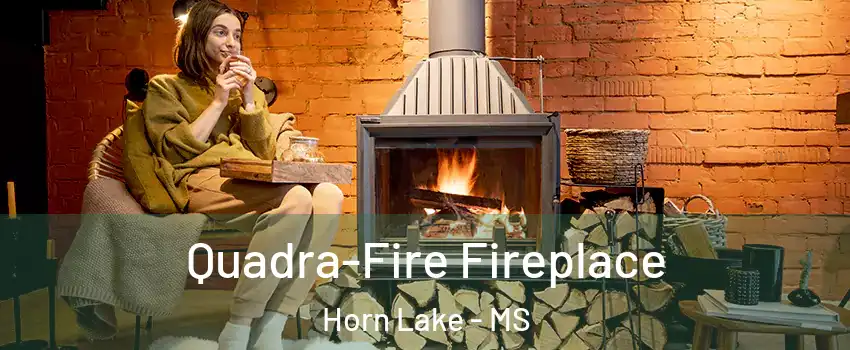  Quadra-Fire Fireplace Horn Lake - MS