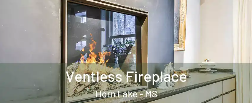  Ventless Fireplace Horn Lake - MS